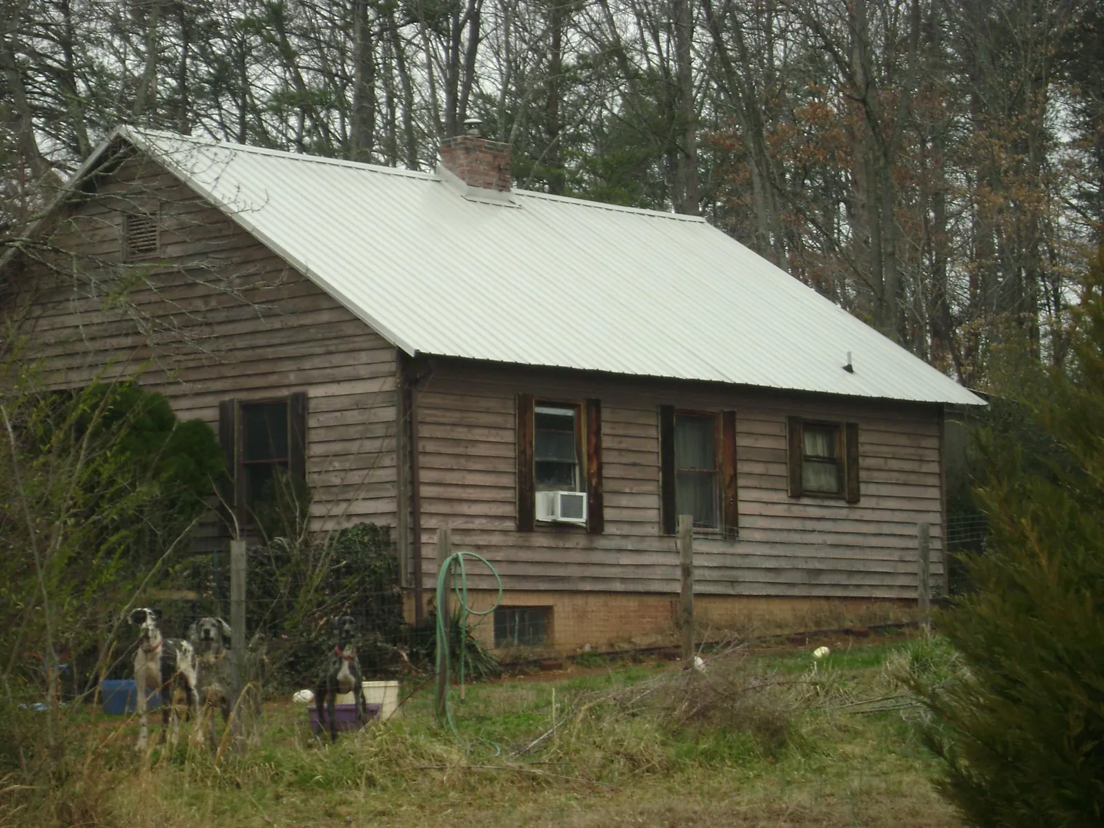 White metal roof on an old wood sided farmhouse, from a Asphalt Shingle Roof Repair job in Ahoskie